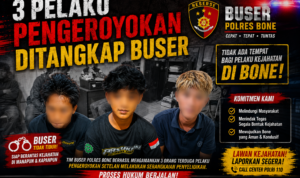 file_000000008cdc820ba648d0d31a32d653